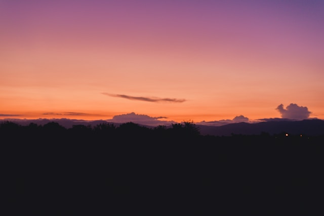 lina-trochez-h34E0FP7hSA-unsplash